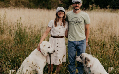 Hobby Sheep Farm Becomes Unique Nebraska Business